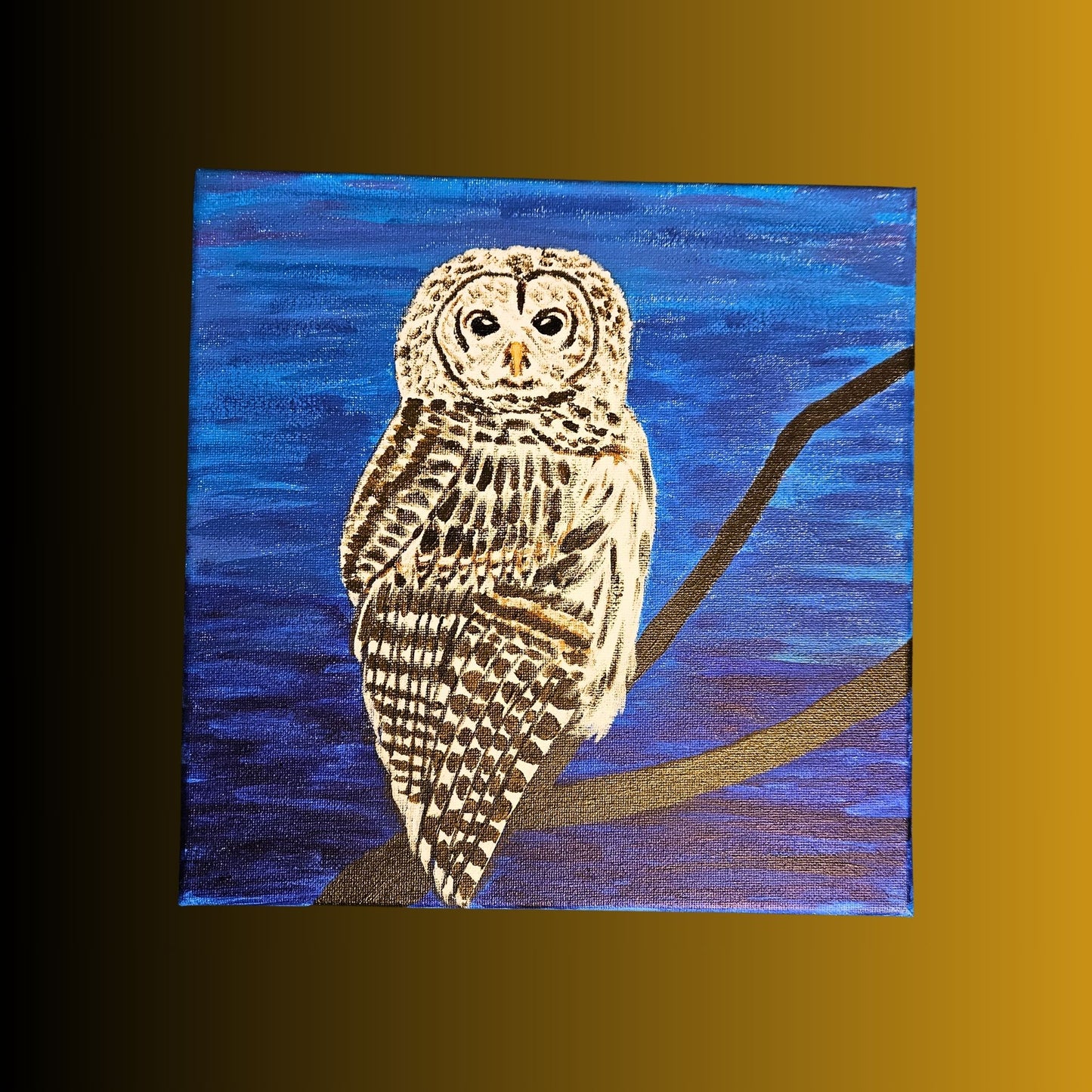 Barred Owl