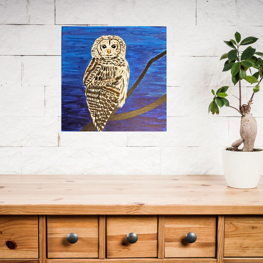 Barred Owl