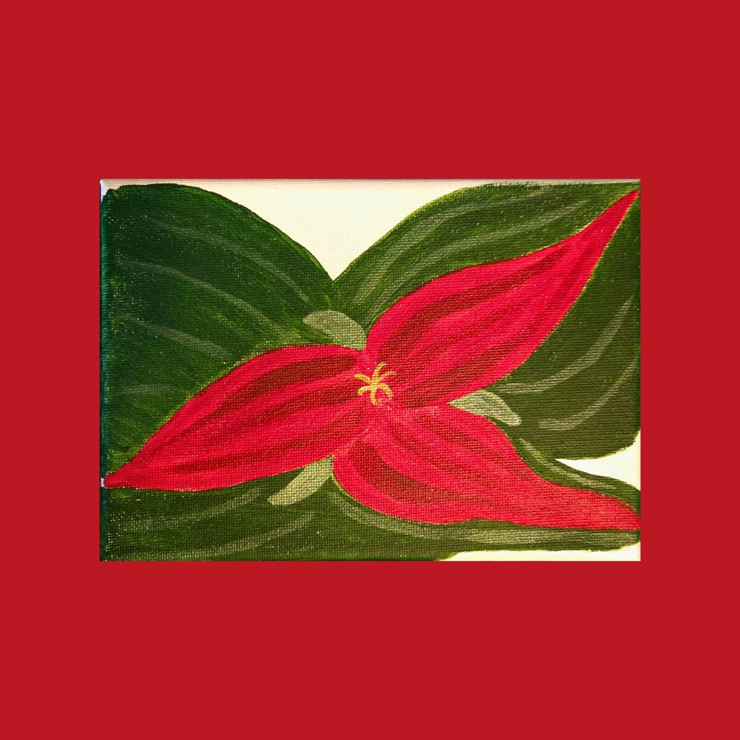 Christmas Trillium