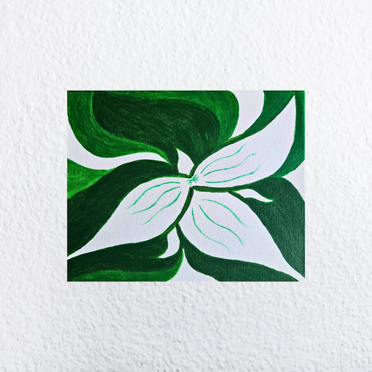 Spring Trillium
