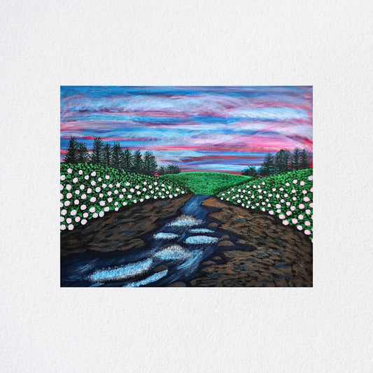 Whitewater & Blooms
